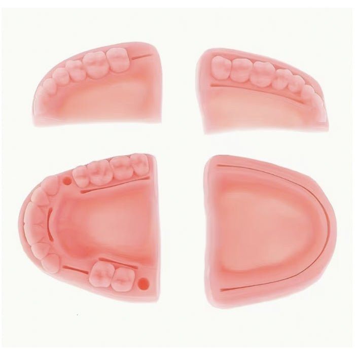 Dental Suturing Practice Model Silicone Oral Surgery Training Pad - Surgical TrainingAP-DSM