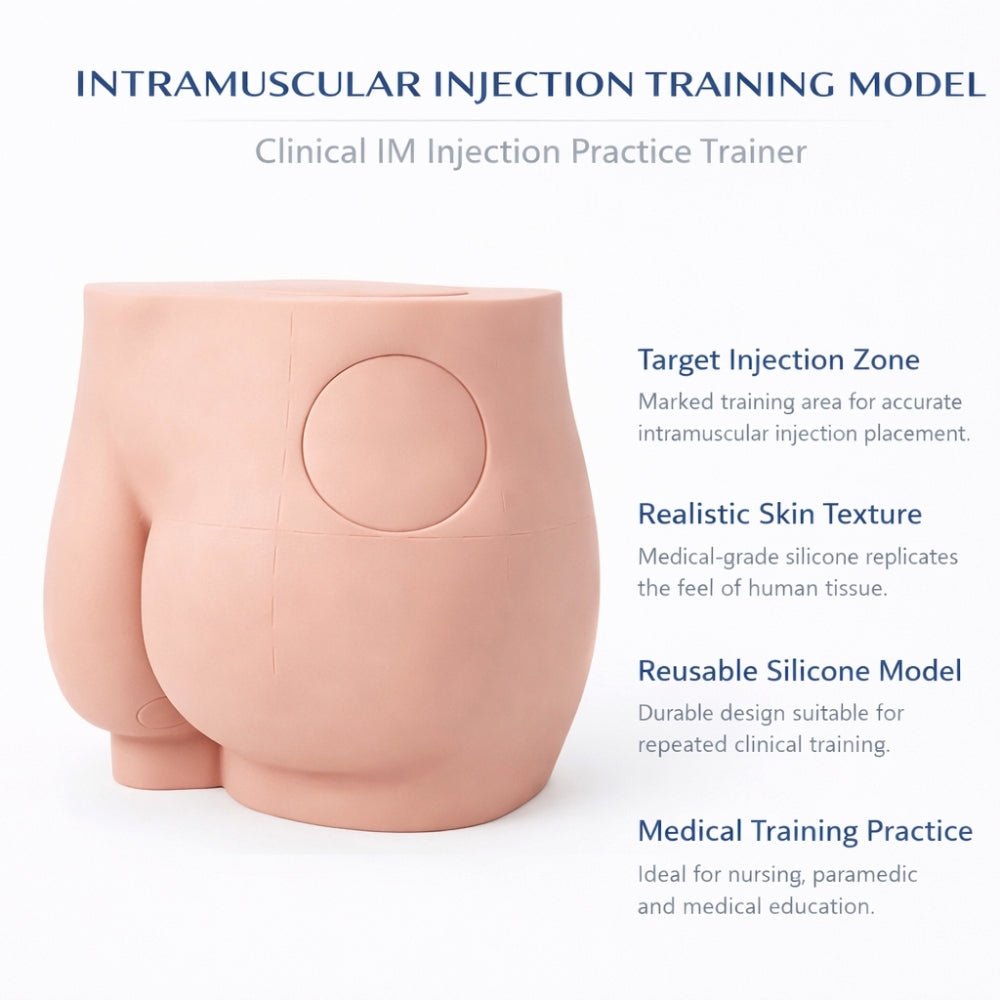 Buttock Intramuscular Injection Training Model Gluteal IM Injection Practice Simulator - Surgical TrainingIMB-0011