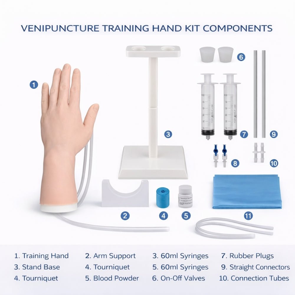 Venipuncture Training Hand IV Injection & Phlebotomy Practice Model - Surgical TrainingIVH-001