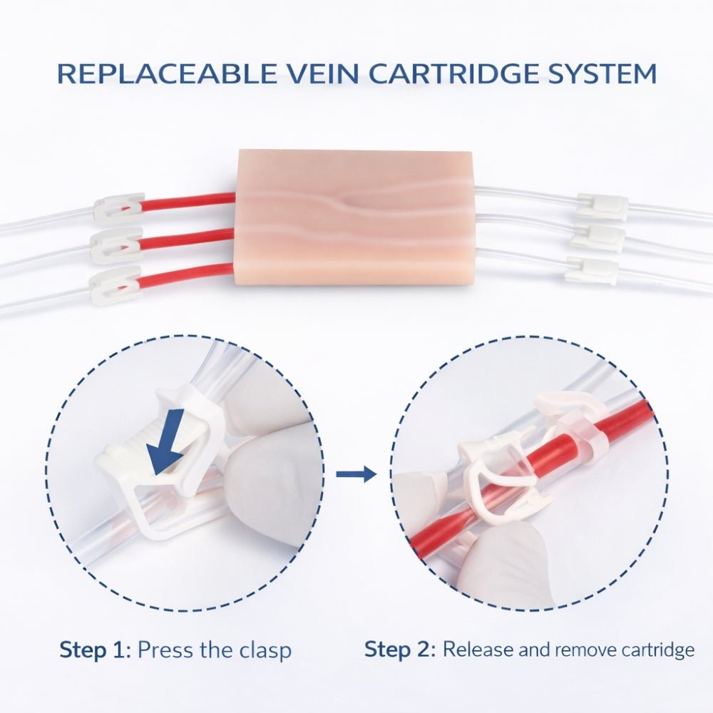 IV Injection & Venipuncture Training Pad Phlebotomy Practice Model for Medical & Nursing Training - Surgical TrainingIVP-002