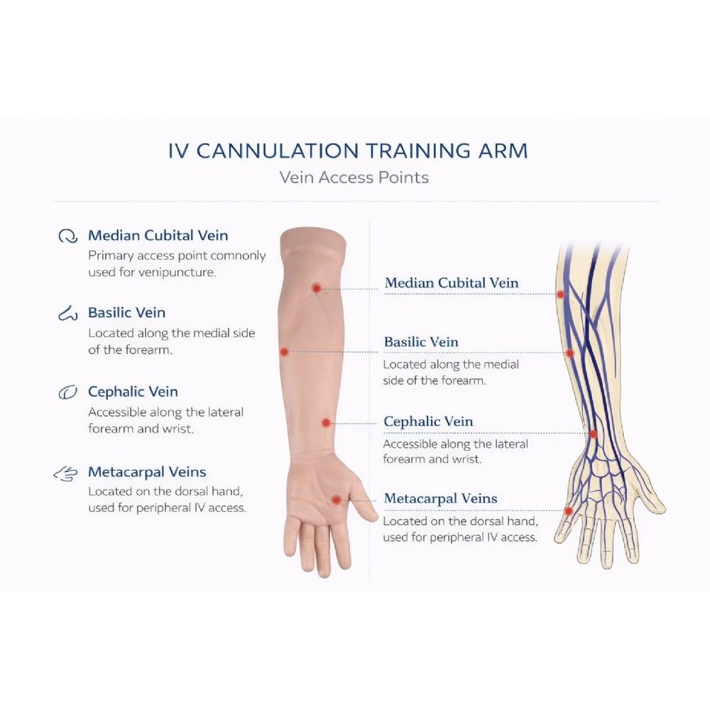 Medical Injection Training Arm Venipuncture & IV Injection Practice Simulator - Surgical TrainingIVT-001