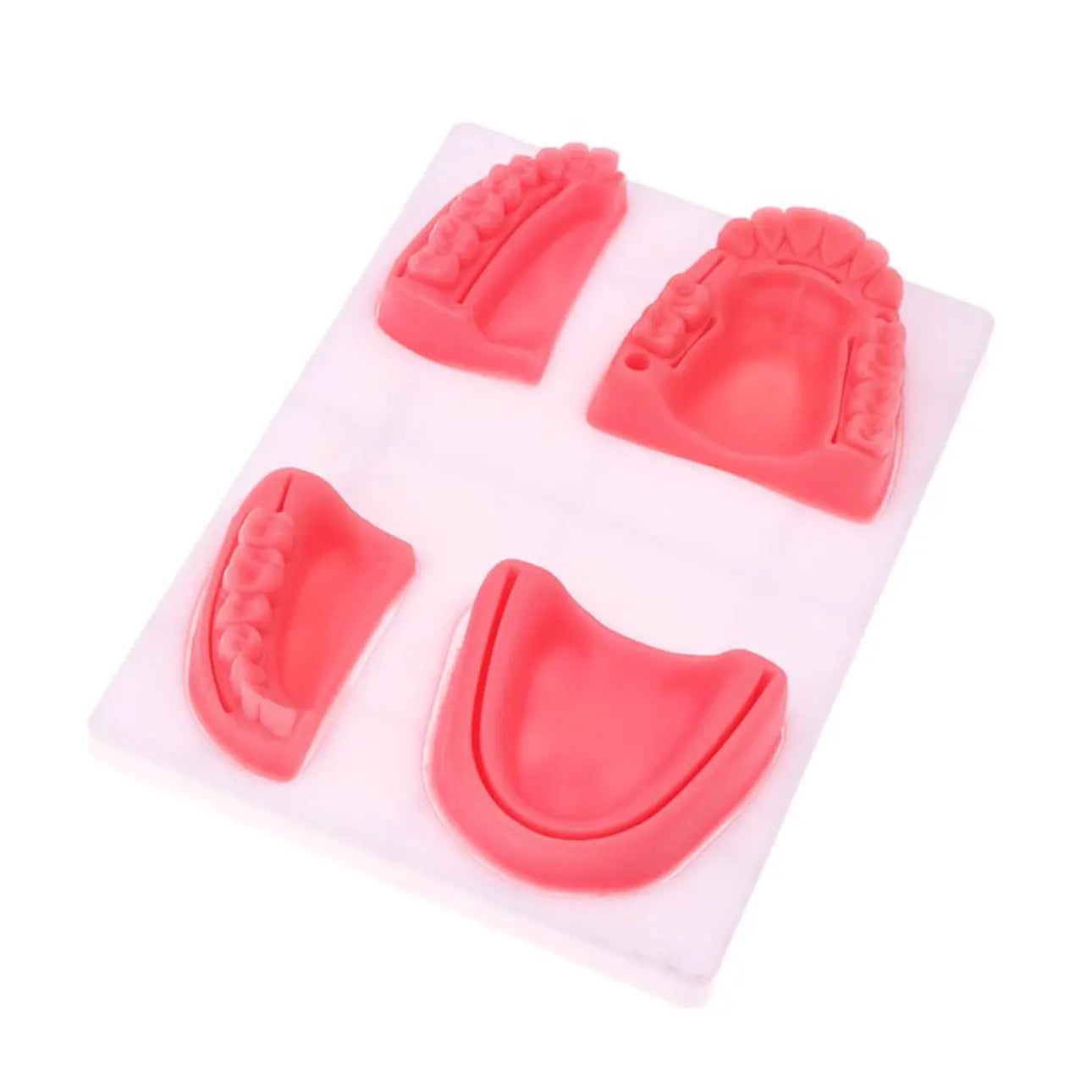 Dental Oral Gum Silicone Periodontitis Suture Model – Realistic Gum Suturing Training Pad for Dental Students, Oral Surgery Practice & Clinical Skills Education - Suture Training PadSC -1006
