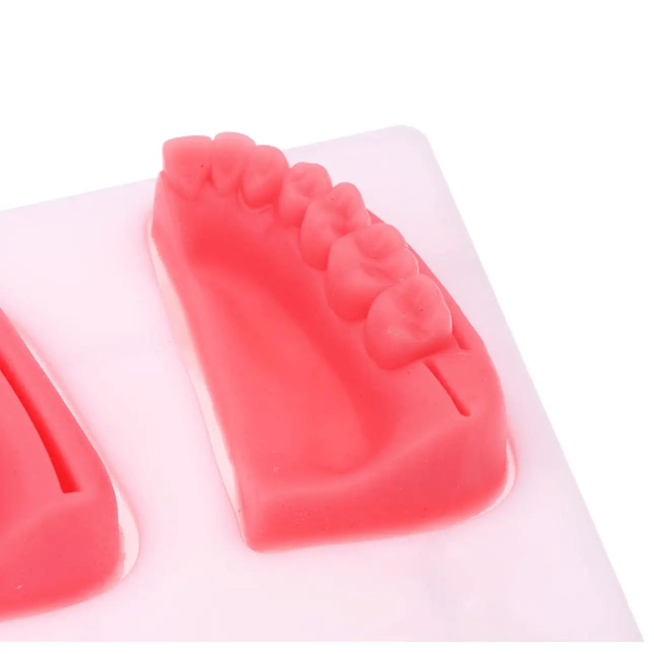 Dental Oral Gum Silicone Periodontitis Suture Model – Realistic Gum Suturing Training Pad for Dental Students, Oral Surgery Practice & Clinical Skills Education - Suture Training PadSC -1006