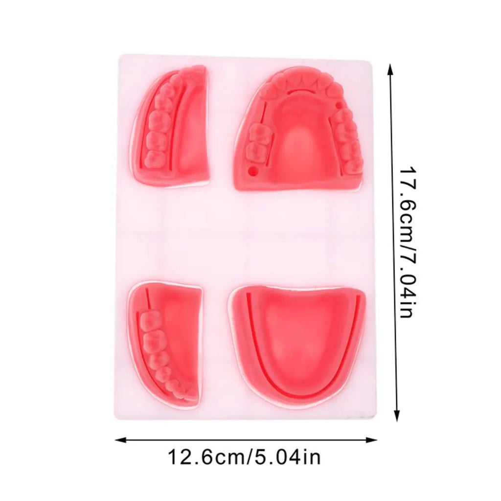 Dental Oral Gum Silicone Periodontitis Suture Model – Realistic Gum Suturing Training Pad for Dental Students, Oral Surgery Practice & Clinical Skills Education - Suture Training PadSC -1006