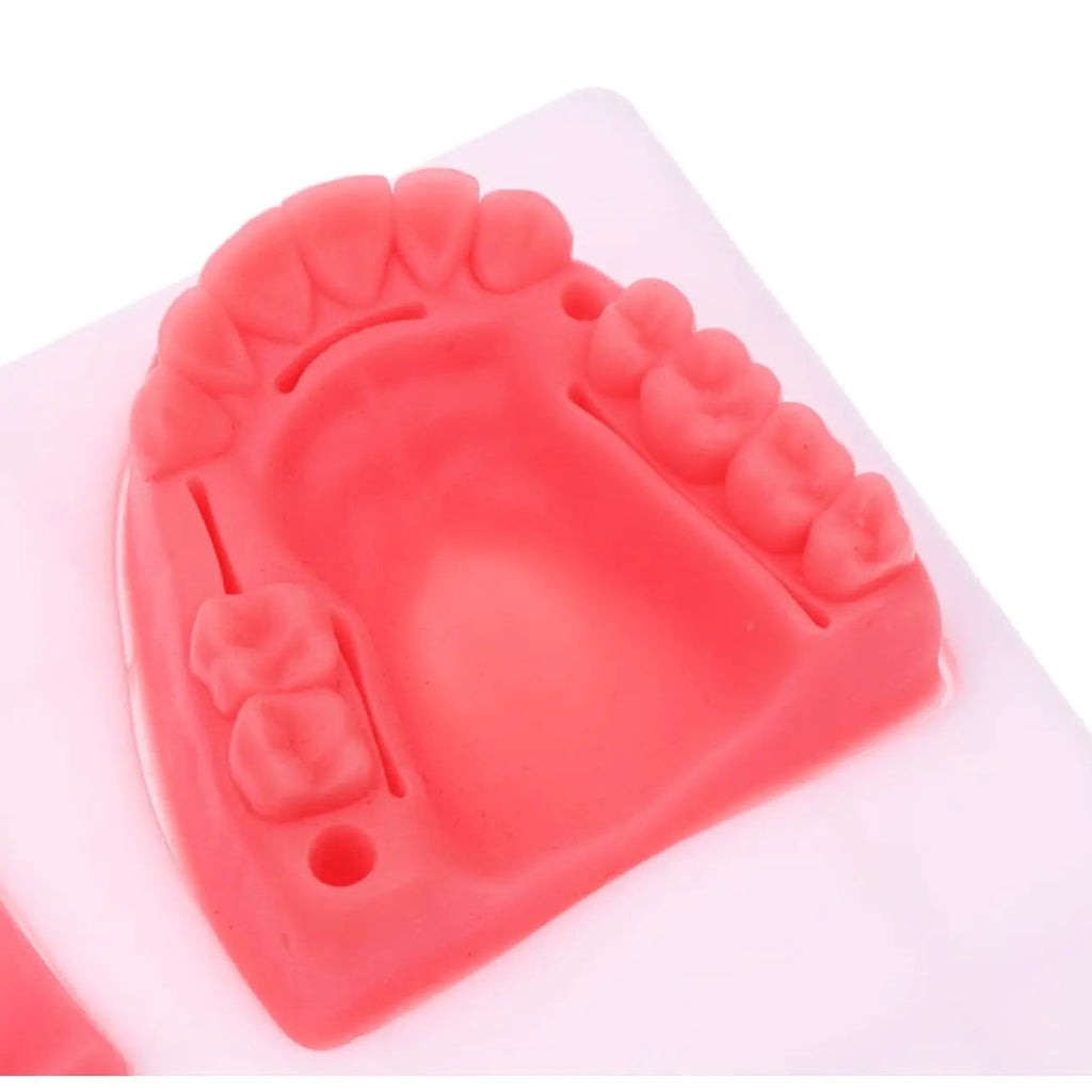 Dental Oral Gum Silicone Periodontitis Suture Model – Realistic Gum Suturing Training Pad for Dental Students, Oral Surgery Practice & Clinical Skills Education - Suture Training PadSC -1006