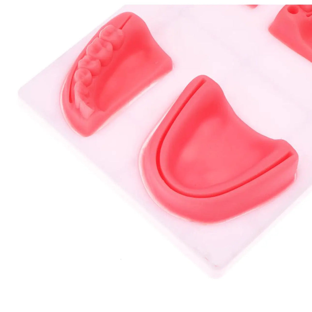 Dental Oral Gum Silicone Periodontitis Suture Model – Realistic Gum Suturing Training Pad for Dental Students, Oral Surgery Practice & Clinical Skills Education - Suture Training PadSC -1006