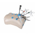 Laparoscopic Trainer Box Set with Instruments Laparoscopy Surgical Skills Training Simulator - Surgical TrainingLBT-002