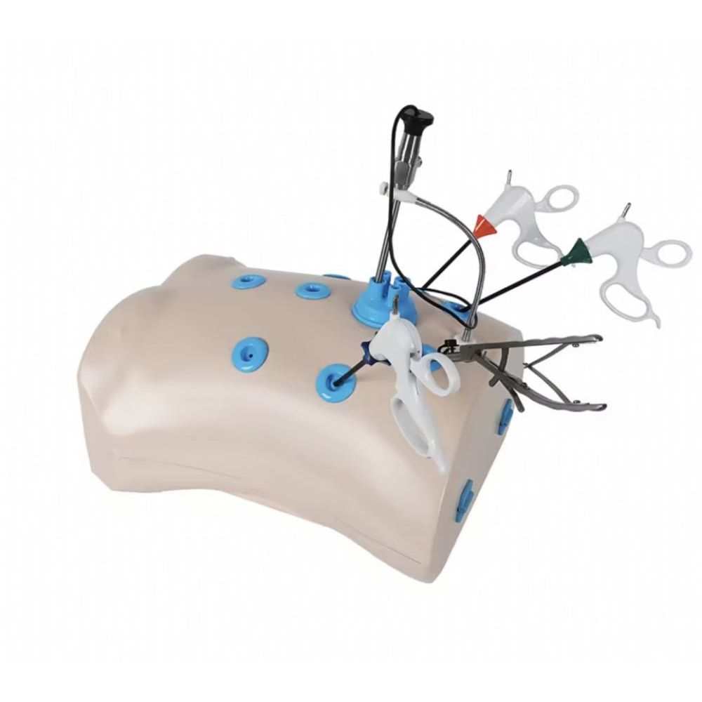Laparoscopic Trainer Box Set with Instruments Laparoscopy Surgical Skills Training Simulator - Surgical TrainingLBT-002
