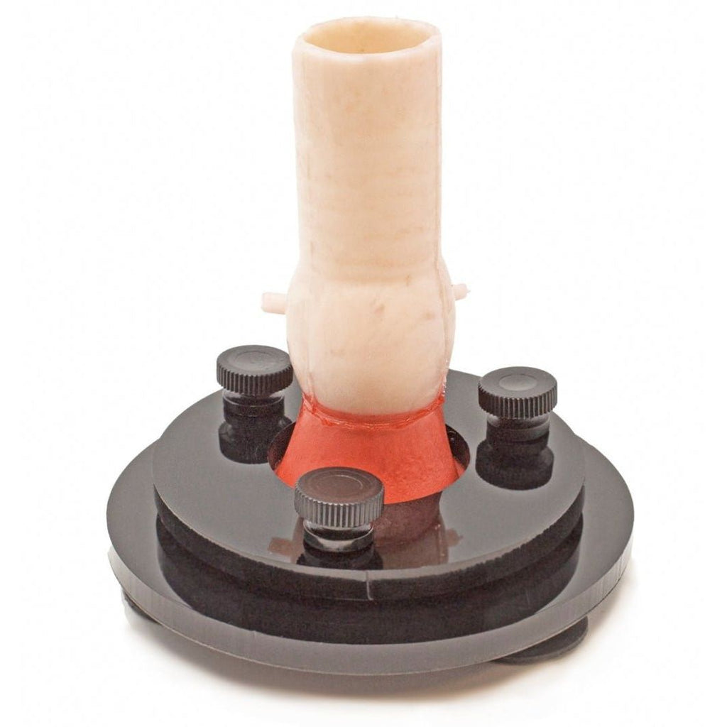 Aortic Valve Model | Cardiac Surgery & Valve Replacement Training Simulator - Surgical TrainingLL-TRN-0121
