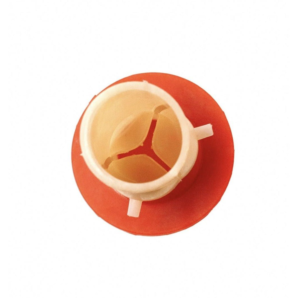 Aortic Valve Model | Cardiac Surgery & Valve Replacement Training Simulator - Surgical TrainingLL-TRN-0121