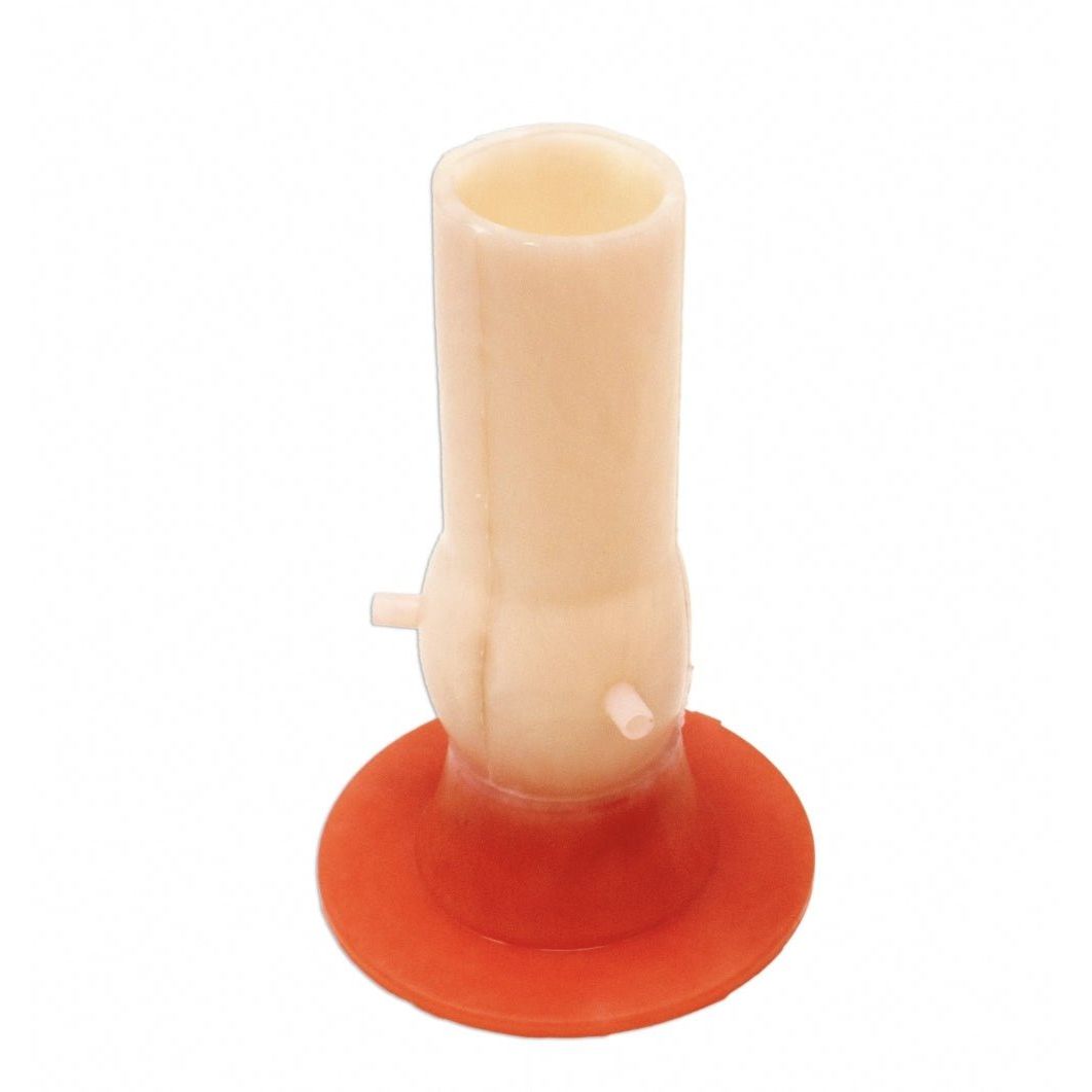 Aortic Valve Model | Cardiac Surgery & Valve Replacement Training Simulator - Surgical TrainingLL-TRN-0121