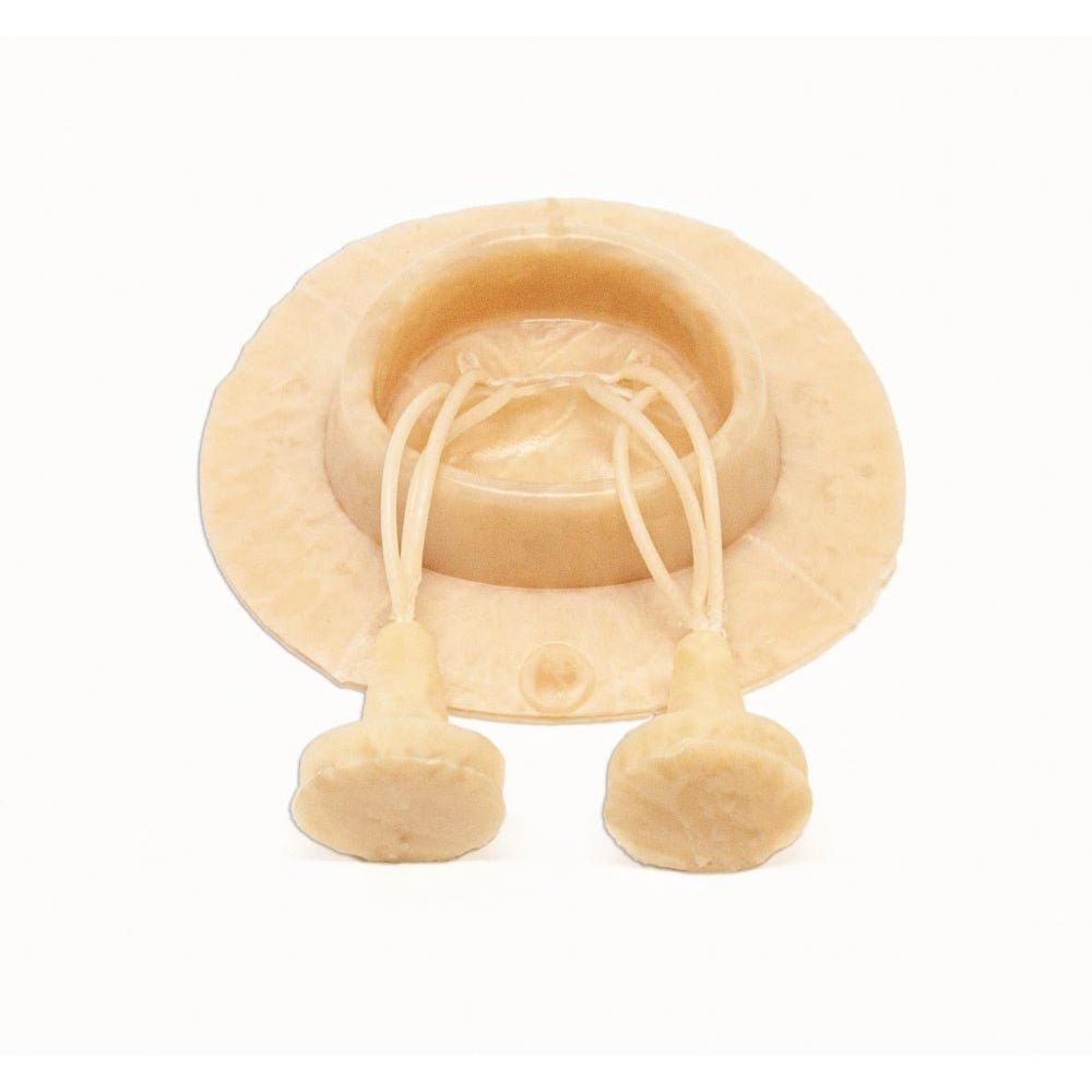 Mitral Valve Model | Cardiac Valve Repair Surgical Training Simulator - Surgical TrainingLL-TRN-0124