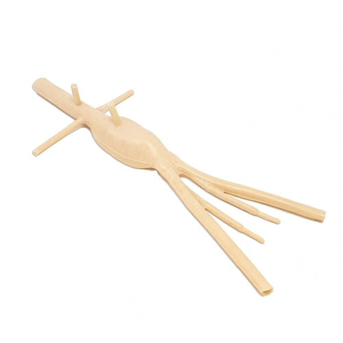 Abdominal Aortic Aneurysm Model | AAA Surgical Training Simulator - Surgical TrainingLL-TRN-0217