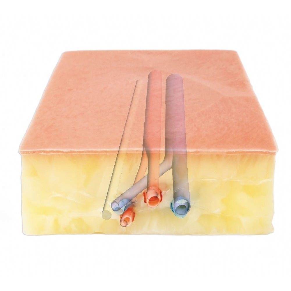 Embedded Femoral Groin Model | Femoral Endarterectomy Training Simulator - Surgical TrainingLL-TRN-0250