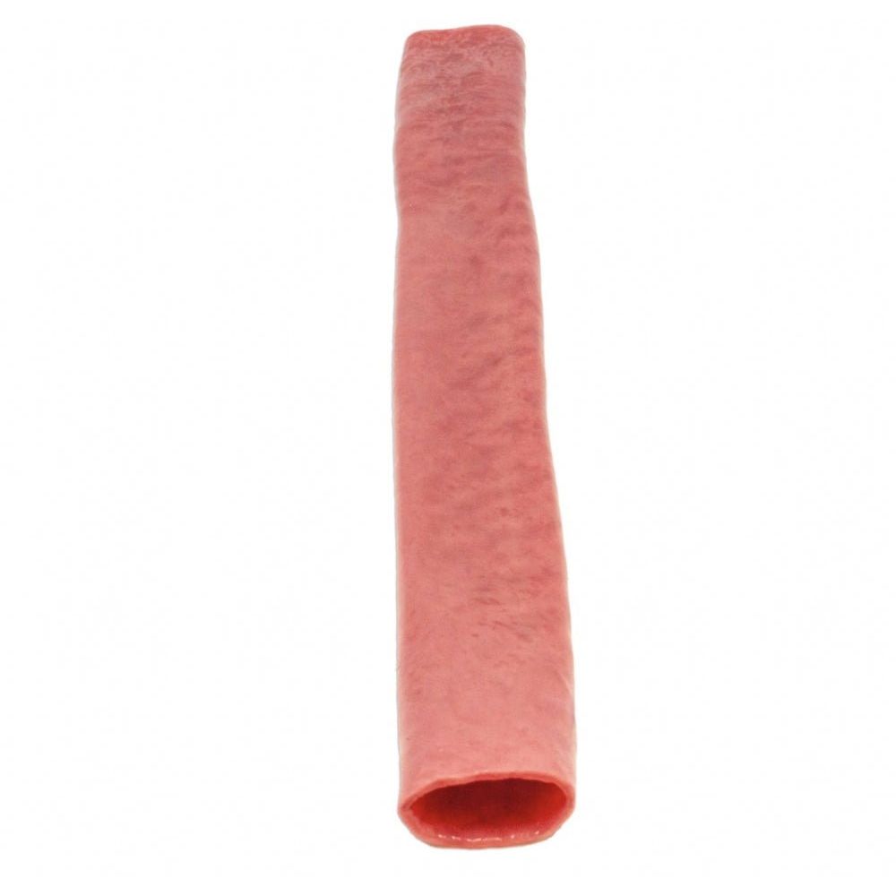 Double Layer Bowel | Surgical Anastomosis Training Model - Surgical TrainingLL-TRN-0304