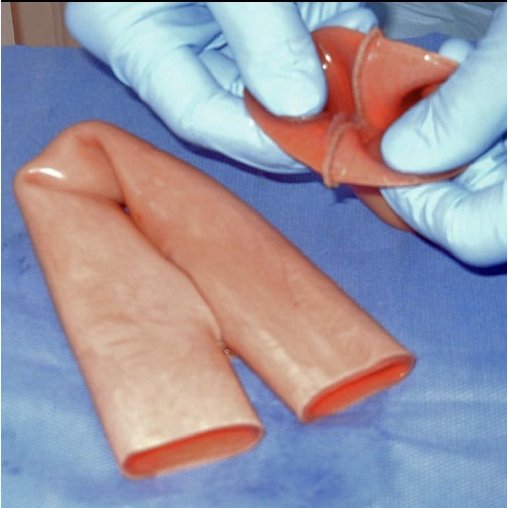 Double Layer Bowel | Surgical Anastomosis Training Model - Surgical TrainingLL-TRN-0304