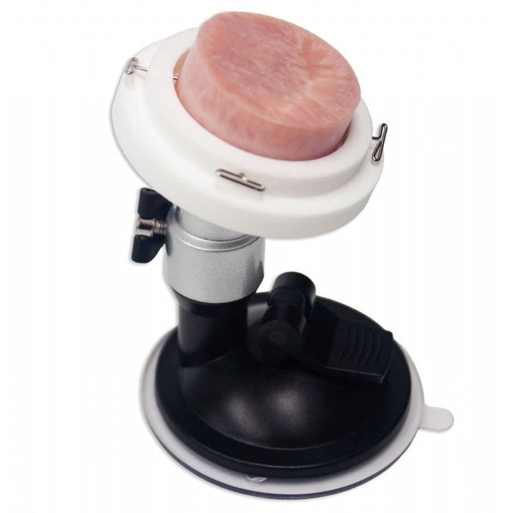 Cervix Disc Biopsy Model | Cervical Biopsy & OB - GYN Surgical Training Simulator - Surgical TrainingLL-TRN-0510