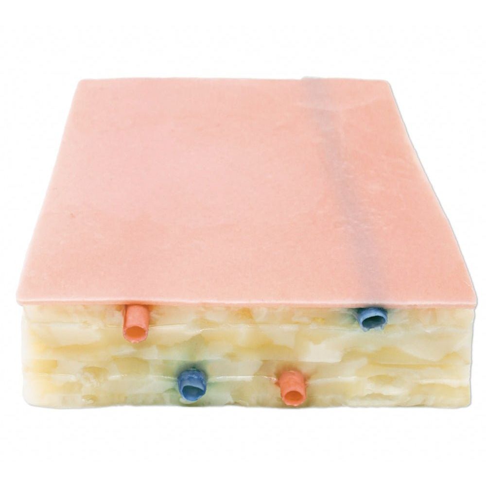 Embedded Biopsy Pad Model | Ultrasound & Surgical Biopsy Training Simulator - Surgical TrainingLL-TRN-0703