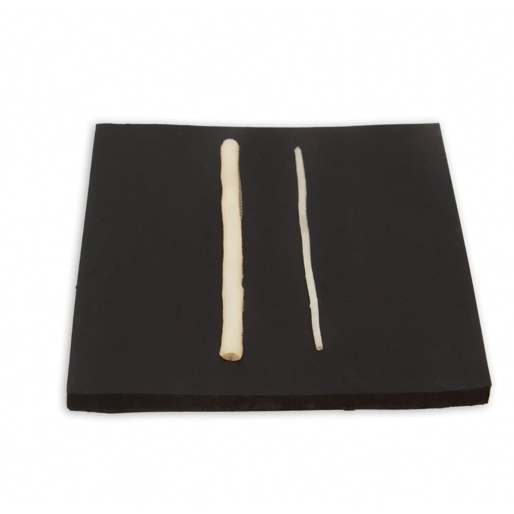 Microsurgery Sample Pack | Microvascular Anastomosis Training Kit - Surgical TrainingLL-TRN-1005