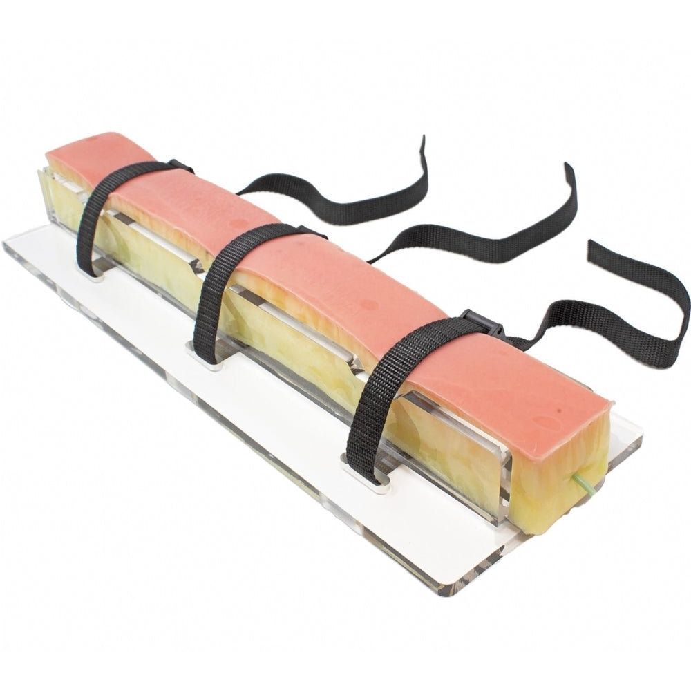 Embedded Great Saphenous Vein Base | Vein Harvesting Training Platform - Surgical TrainingLL-TRN-1100