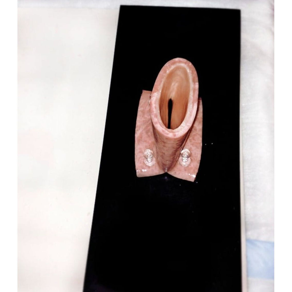 Tissue Mounting Pad | Surgical Training Base for Anastomosis Practice - Surgical TrainingLL-TRN-1102
