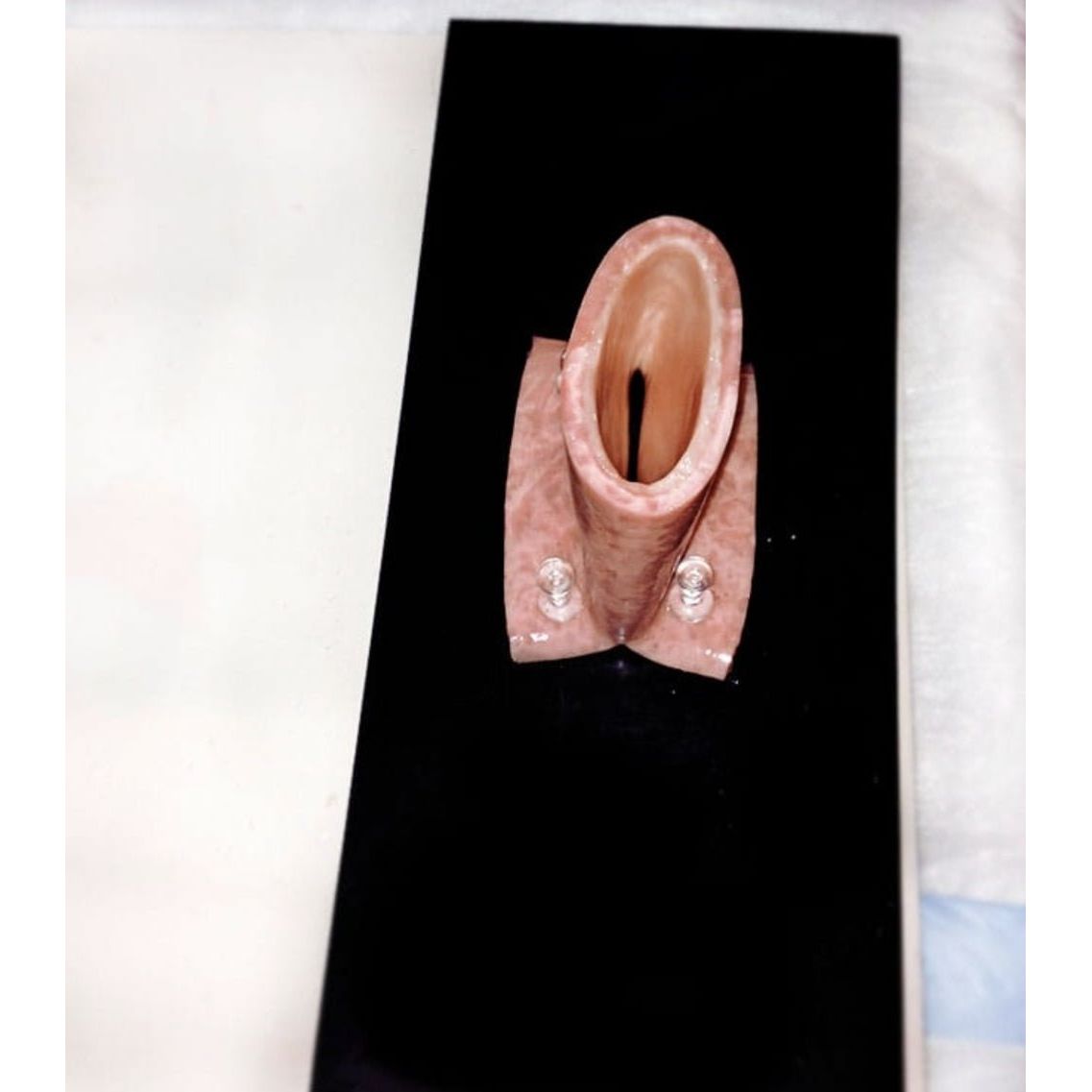 Tissue Mounting Pad | Surgical Training Base for Anastomosis Practice - Surgical TrainingLL-TRN-1102