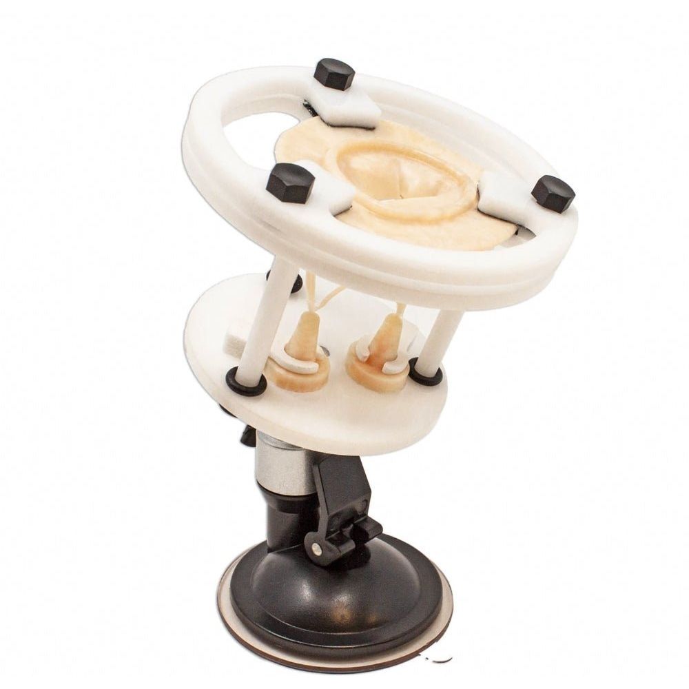 Mitral Valve Base | Cardiac Surgery Training Valve Holder - Surgical TrainingLL-TRN-1105