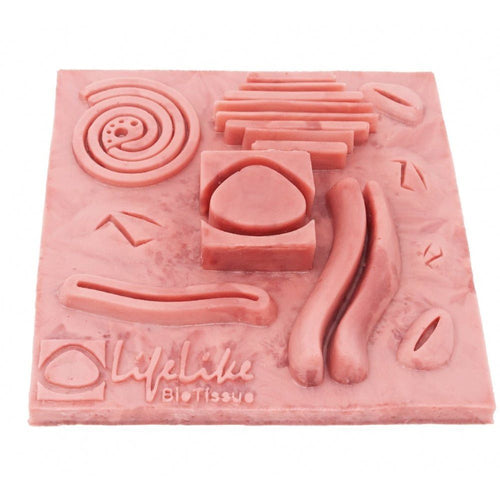 Basic Soft Tissue Suture Pad | Surgical Suturing Practice Training Pad - Surgical TrainingLL-TRN-1108