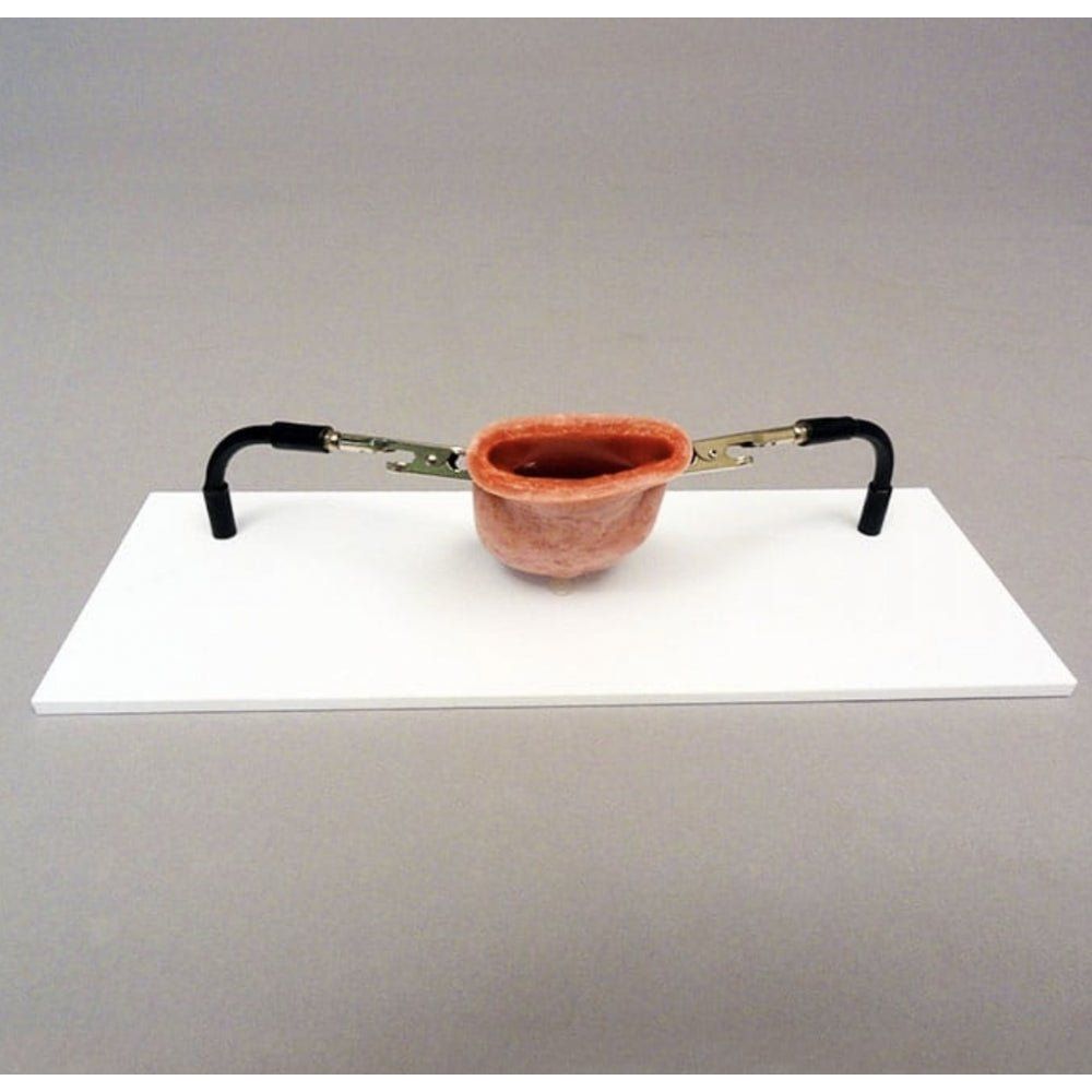 Vaginal Cuff Holder | OB - GYN Surgical Training Base - Surgical TrainingLL-TRN-1208