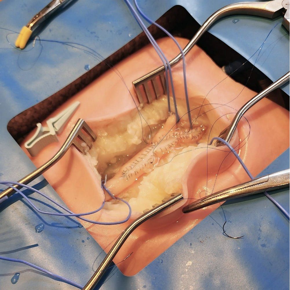 VI Box Surgical Simulator | Vascular & Surgical Skills Training System - Surgical TrainingLL-TRN-1270