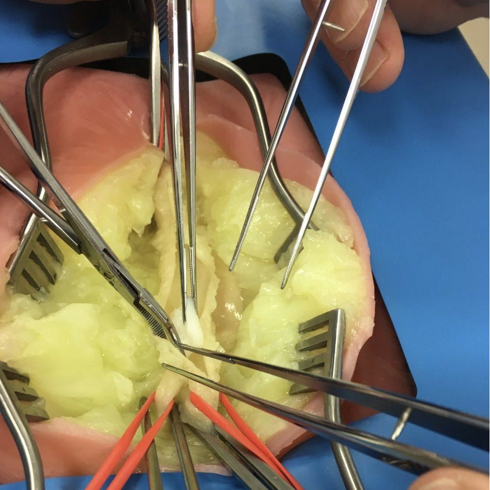 VI Box Surgical Simulator | Vascular & Surgical Skills Training System - Surgical TrainingLL-TRN-1270