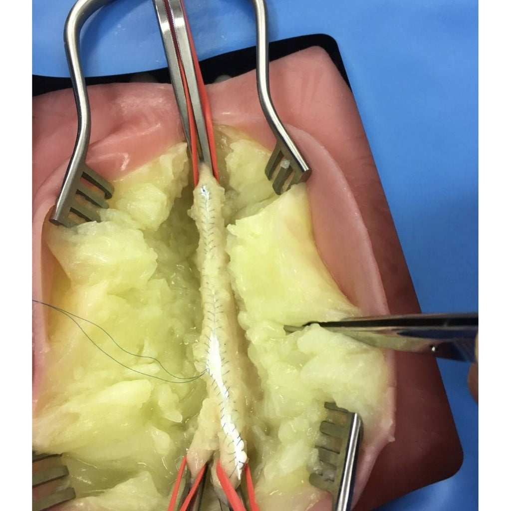 VI Box Surgical Simulator | Vascular & Surgical Skills Training System - Surgical TrainingLL-TRN-1270