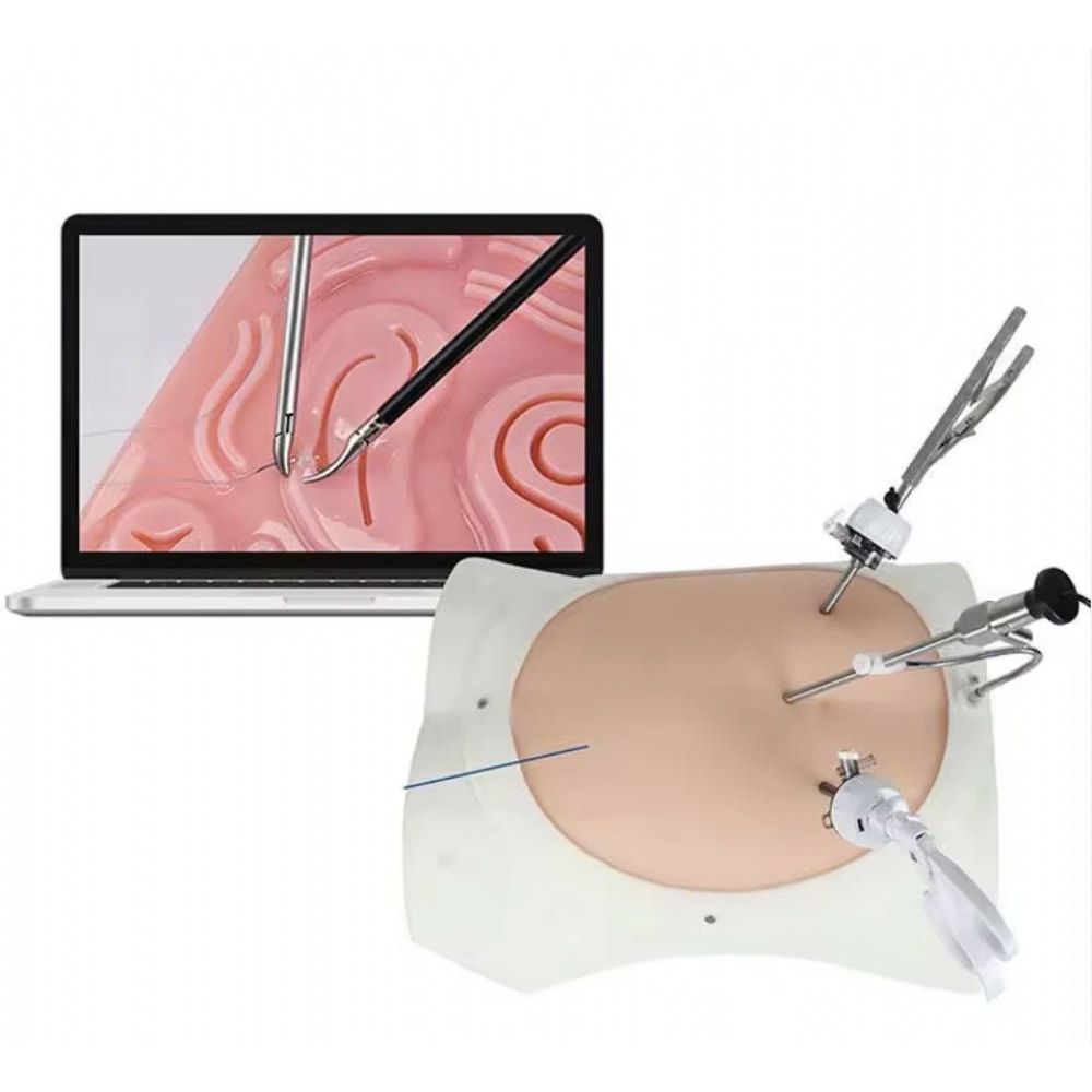 Advanced Laparoscopic Trainer Box – Abdominal Minimally Invasive Surgery Training Simulator - Surgical TrainingMS-LAP-BOX01
