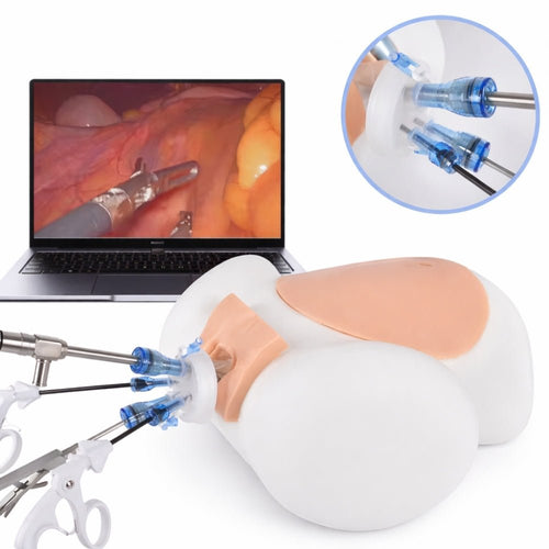 Abdominal Laparoscopic Surgery Simulator – Advanced Minimally Invasive Surgical Training System - Surgical TrainingMS-LAP-SIM02