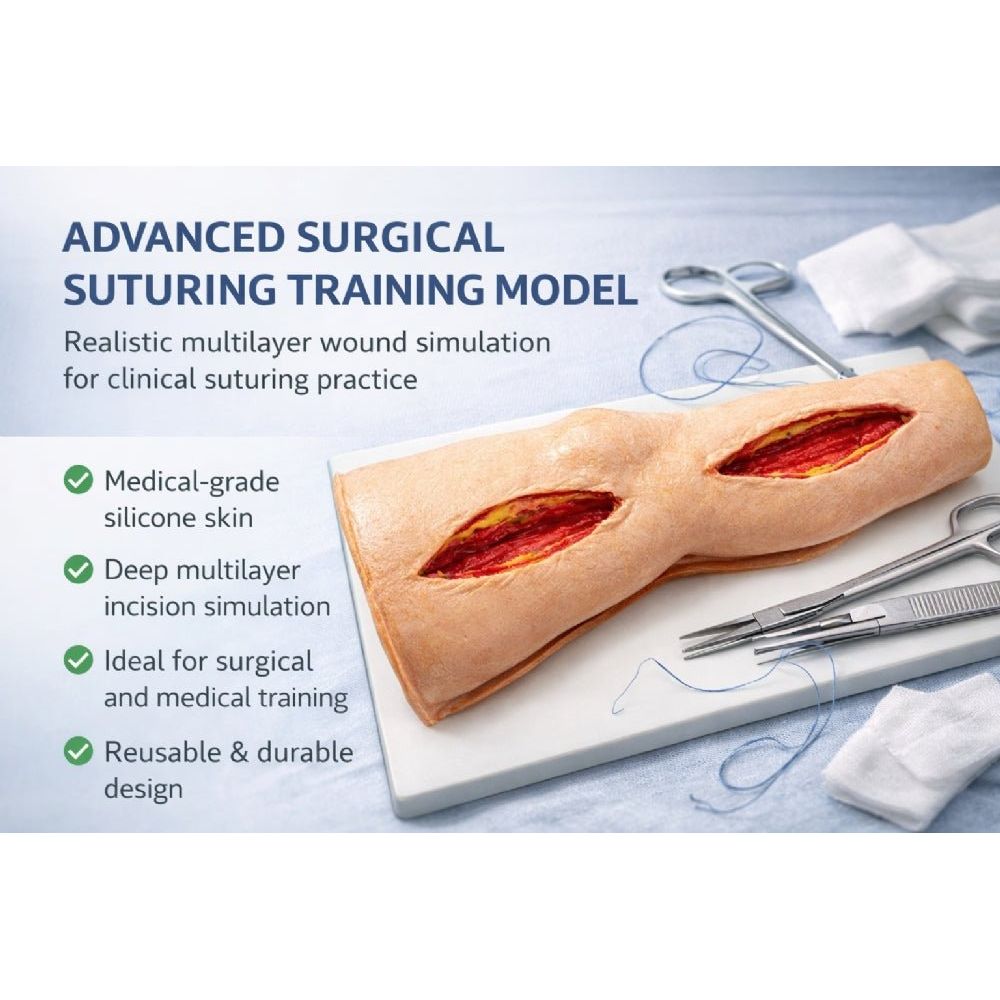 Vascular Surgery Femoral Leg Simulator – Femoral Artery Anastomosis & Bypass Training Model - Surgical TrainingMS-VAS-FEMLEG01