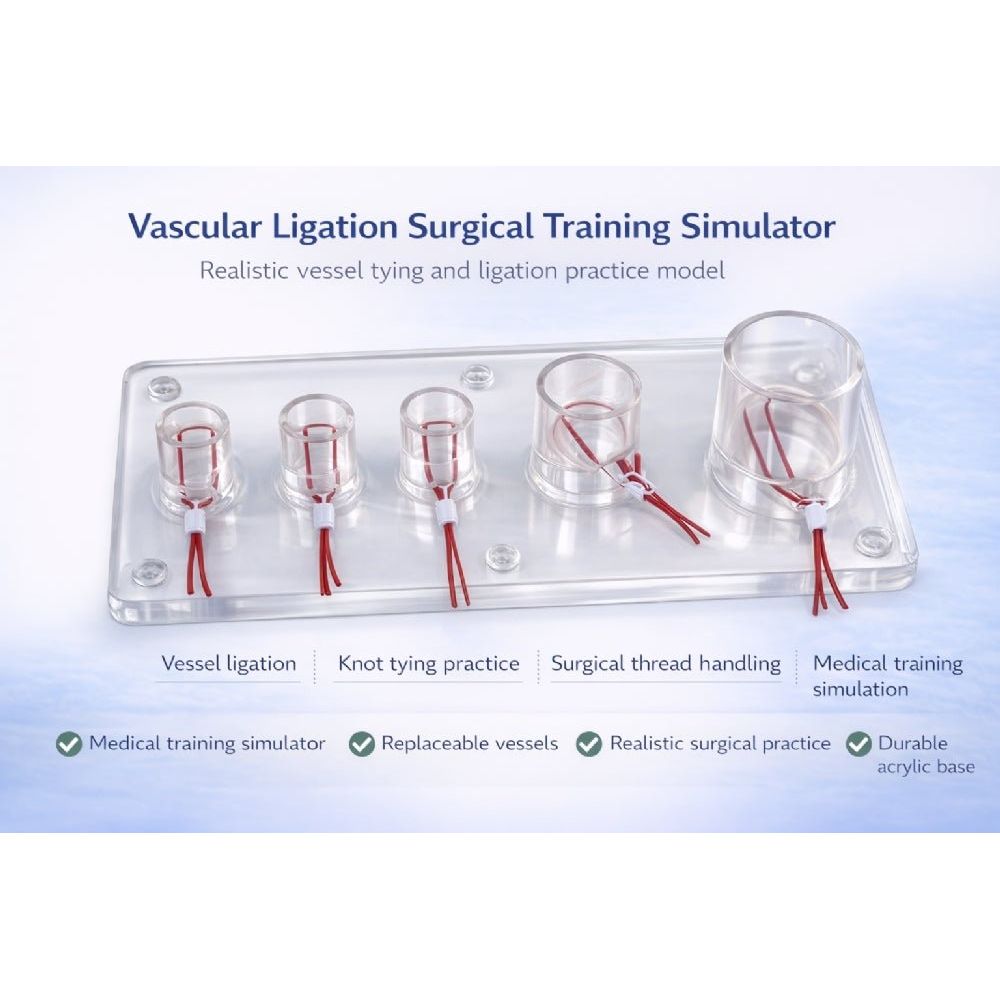 Vascular Ligation Training Simulator – Surgical Vessel Ligation Practice Model - Suture Training KitMS-VAS-LIG01