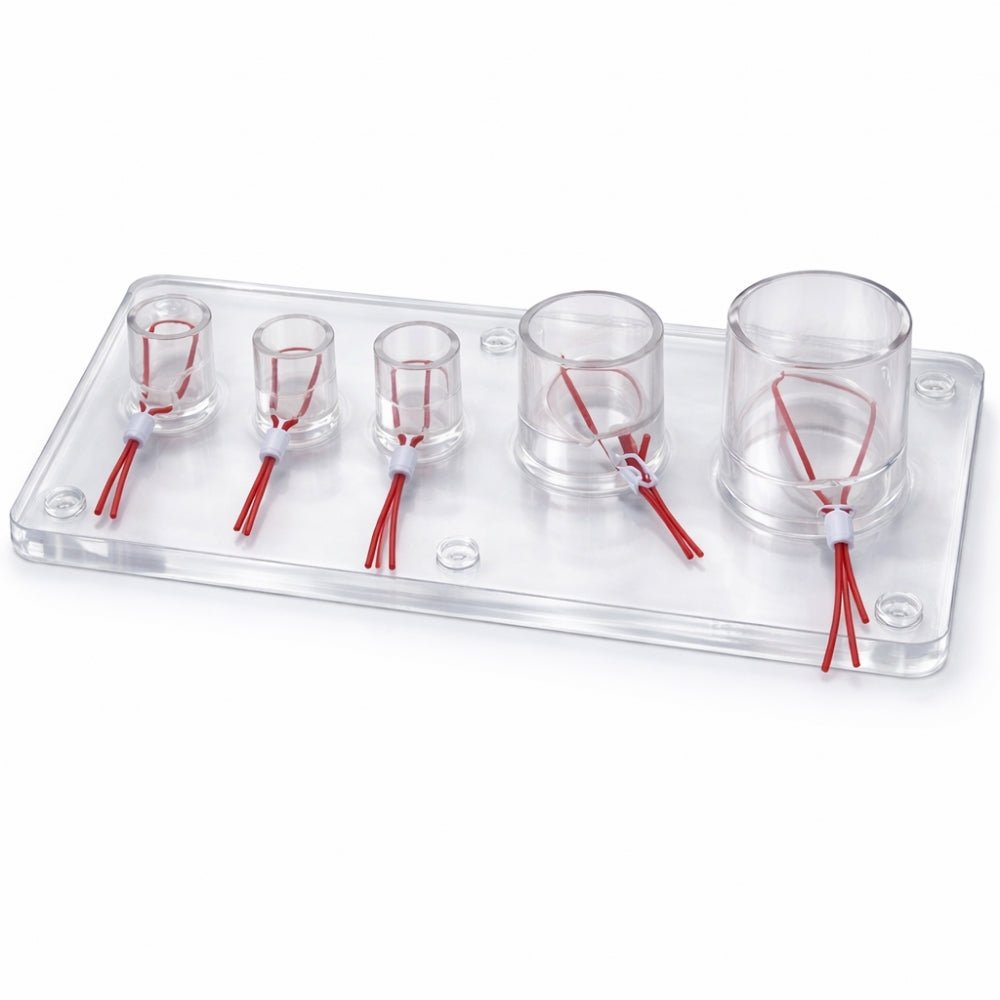 Vascular Ligation Training Simulator – Surgical Vessel Ligation Practice Model - Suture Training KitMS-VAS-LIG01