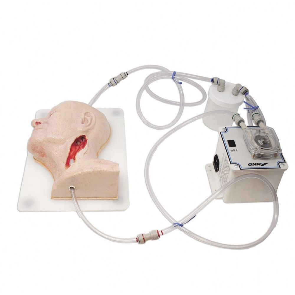 Carotid Head Simulator – Vascular Surgery Training Model – Carotid Endarterectomy Practice – Realistic Surgical Simulation Head – (Professional Training Use) - Surgical TrainingSIM-CAROTID-HEAD-VASC-01