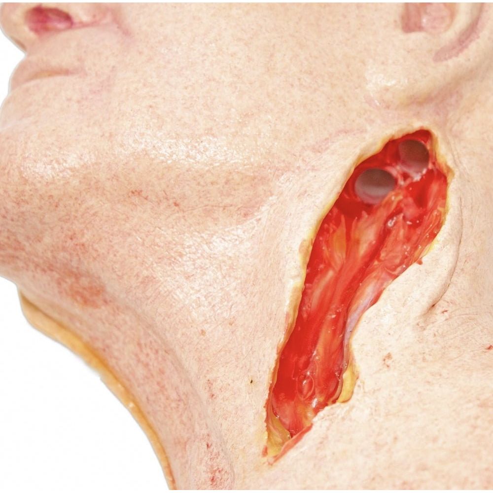 Carotid Head Simulator – Vascular Surgery Training Model – Carotid Endarterectomy Practice – Realistic Surgical Simulation Head – (Professional Training Use) - Surgical TrainingSIM-CAROTID-HEAD-VASC-01