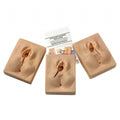 Set of 3 Episiotomy Suturing Simulators - Surgical TrainingZLF-690-U1