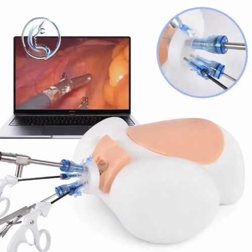 White and peach silicone abdominal laparoscopic surgery simulator with blue-tipped instruments for minimally invasive surgical training