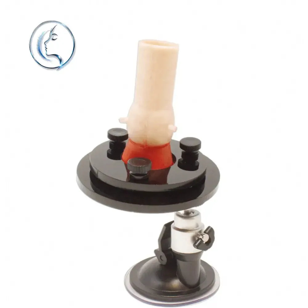 Aortic Valve Base | Cardiac Surgery Training Holder - Surgical